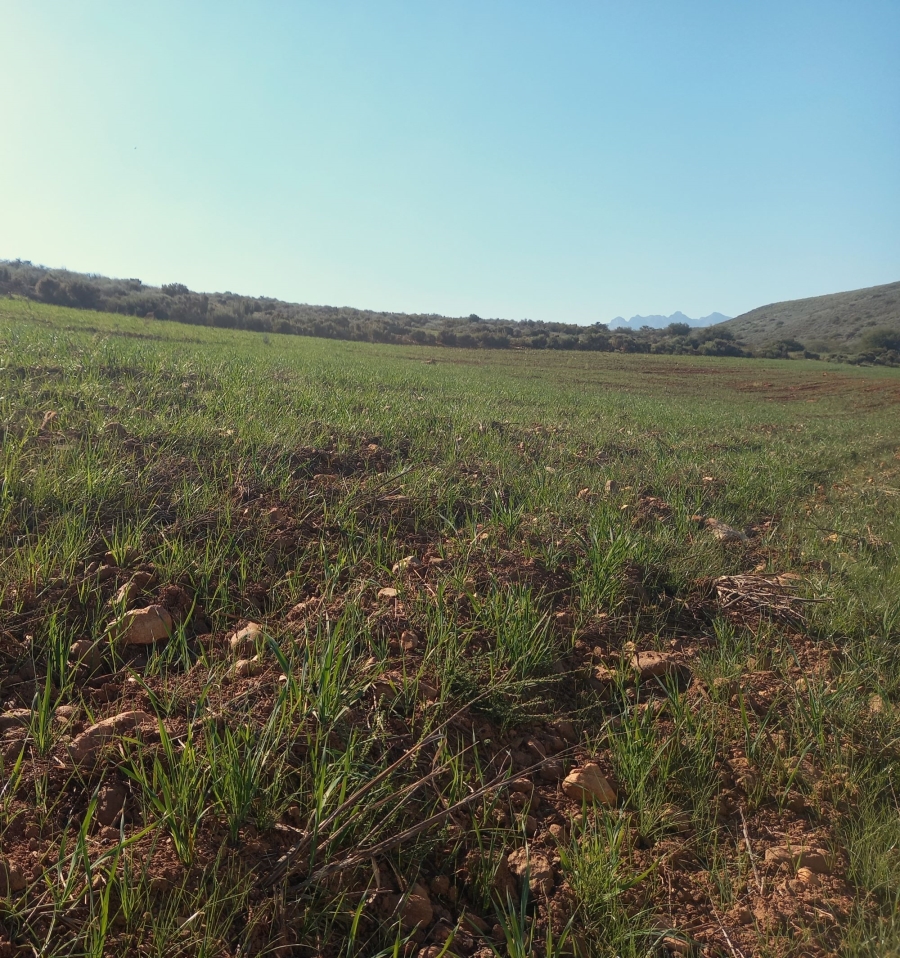 Commercial Property for Sale in George Rural Western Cape